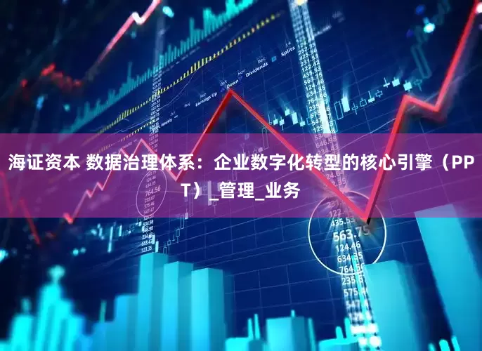 海证资本 数据治理体系：企业数字化转型的核心引擎（PPT）_管理_业务